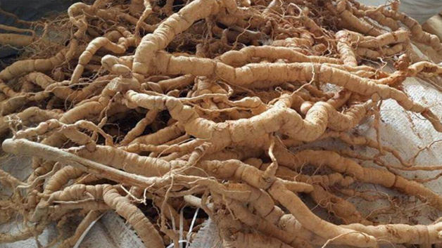 �����Ĺ�Ч�����ü�ʳ�÷��� �ư����Ĺ�Ч�����ü�ʳ�÷������